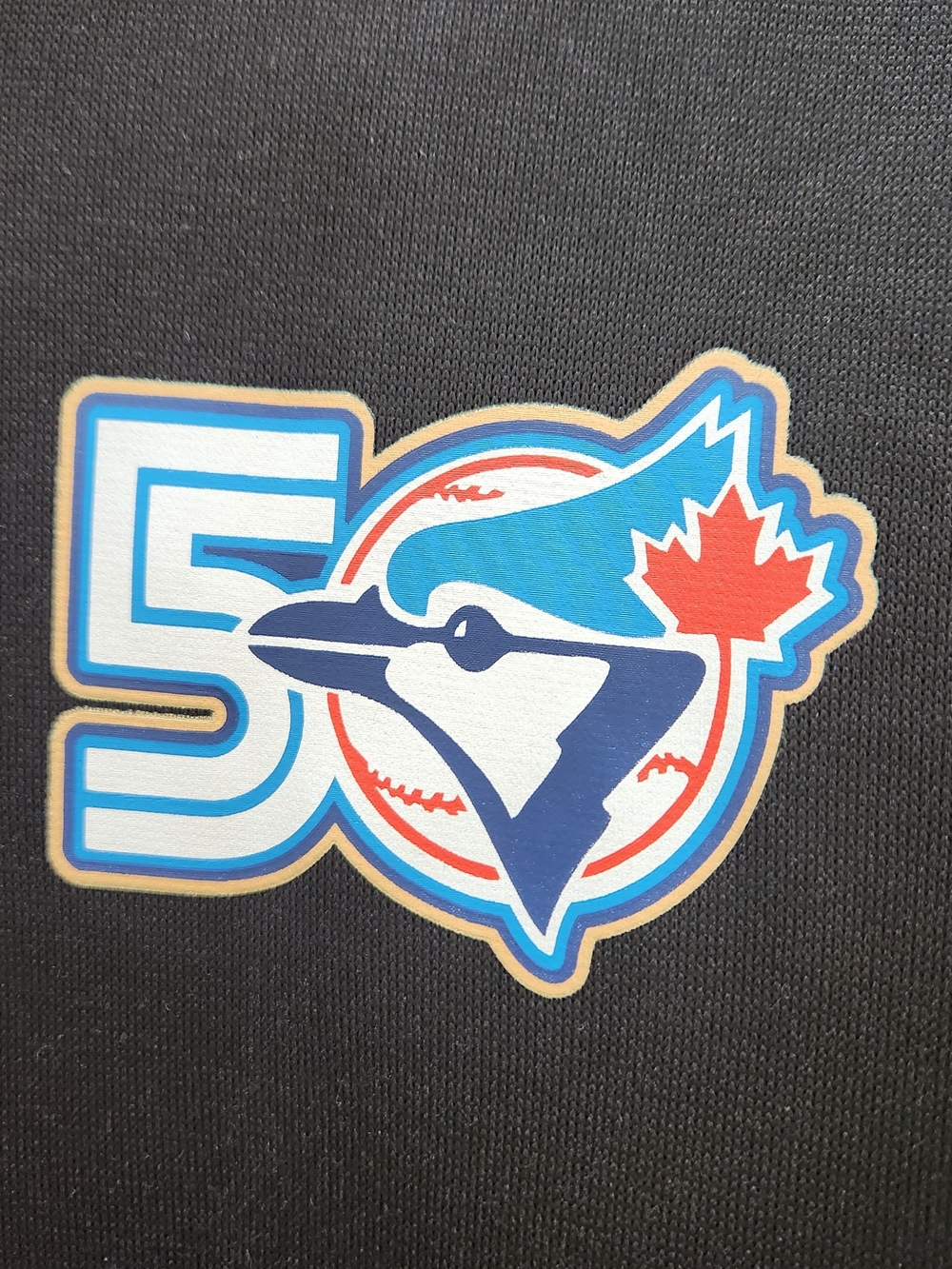 Toronto Blue Jays 50th Anniversary Pullover Hoodie Giveaway - Picture 2 of 5